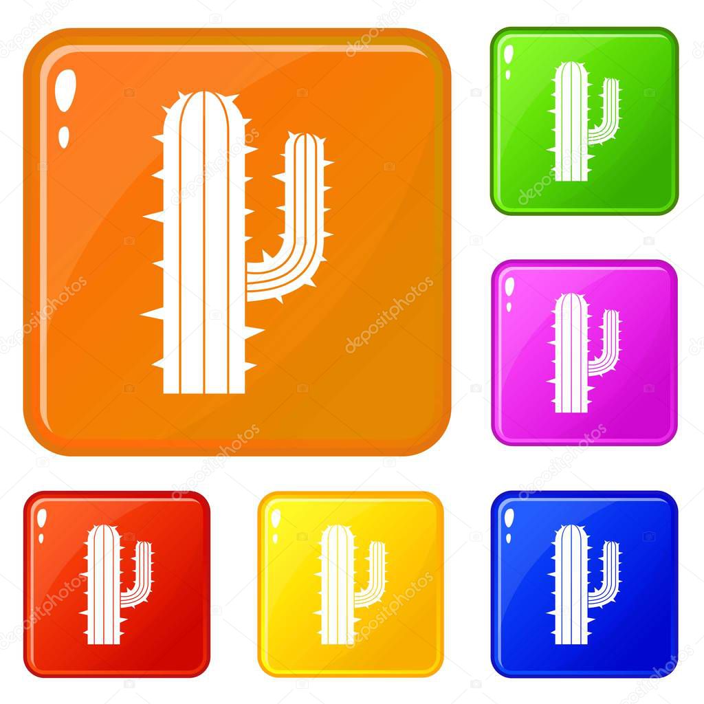 Mexican cactus icons set vector color
