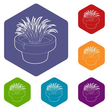 Ev bitki simgesi, anahat stili