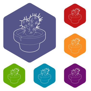 Kaktüs simgesi, özet biçimi