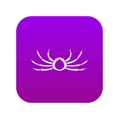 Japon örümcek yengeç simgesi dijital mor