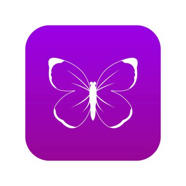 Kelebek simgesi dijital mor