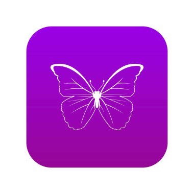 Kelebek simgesi dijital mor