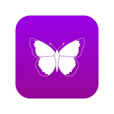 Kelebek simgesi dijital mor