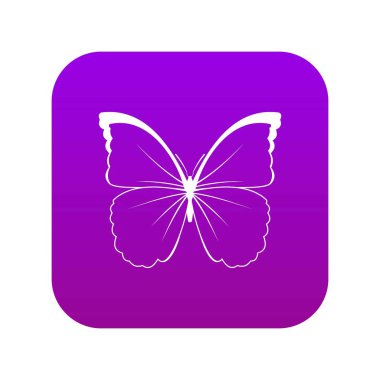 Kelebek simgesi dijital mor