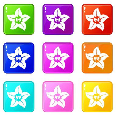 Çiçek yıldız simgeleri 9 renk koleksiyonu ayarlayın