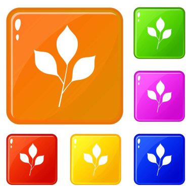 Kiraz yaprakları simgeleri vektör renk ayarlamak