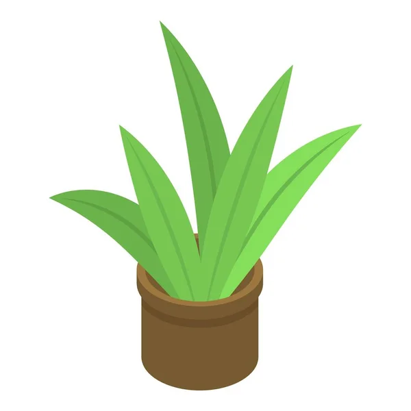 Sappige plant pot pictogram, isometrische stijl — Stockvector