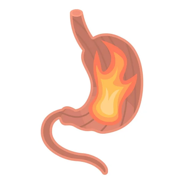 Stomach fire icon, isometric style — Stock Vector