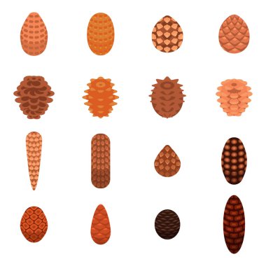 Çam kozalağı simgeleri ayarlandı, izometrik biçim