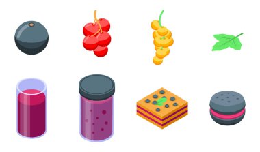 Currant simgeleri ayarlandı, izometrik biçim