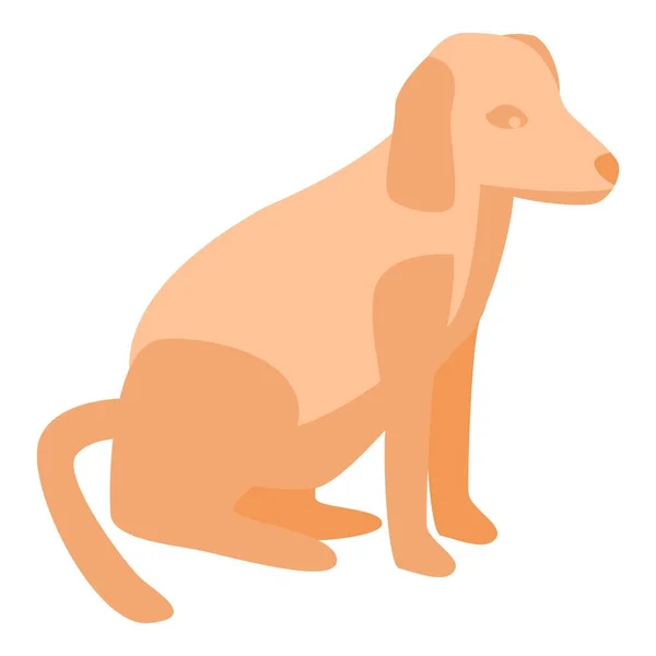 Red hair dog icon, isometric style — Stock Vector
