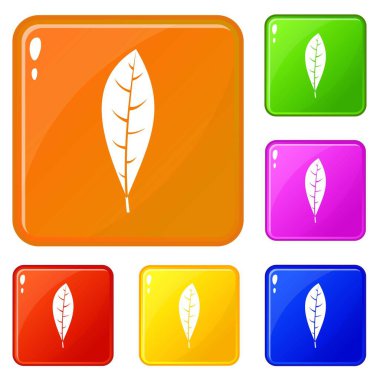 Yaprak simgeler vektör renk ayarla