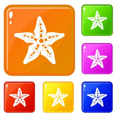 Deniz yıldızı simgeler vektör renk ayarla