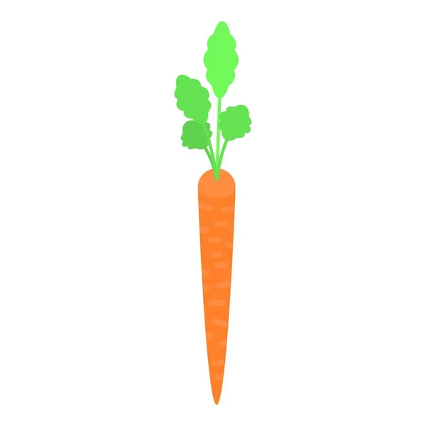 Ícone de cenoura fina longa, estilo isométrico — Vetor de Stock