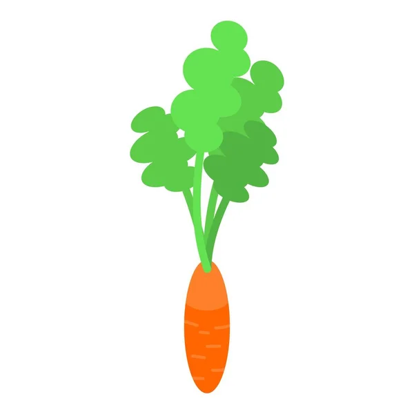 Ícone de cenoura de jardim, estilo isométrico — Vetor de Stock