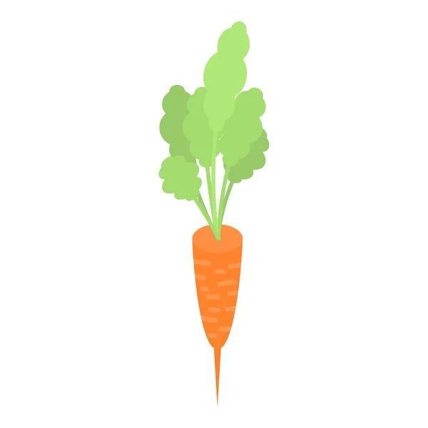 新鲜菜园胡萝卜图标，等距风格 — 图库矢量图片