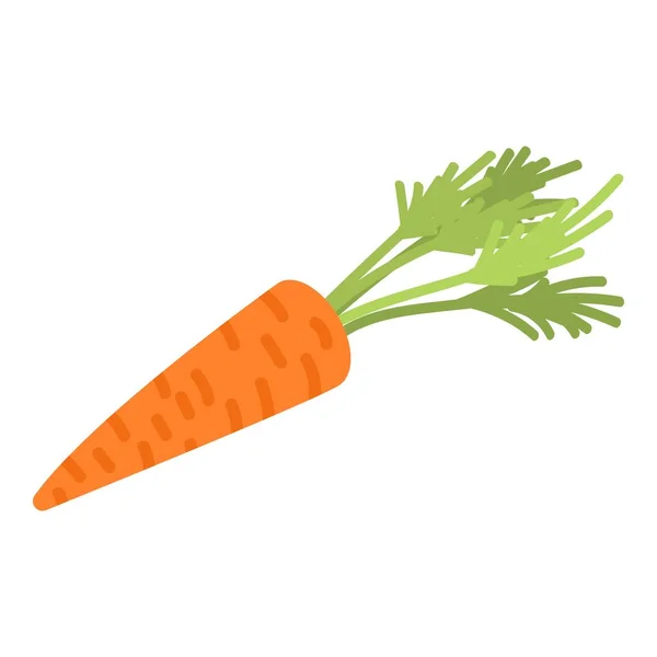 Ícone de cenoura natural, estilo isométrico — Vetor de Stock