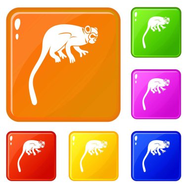 Marmoset maymun simgeleri vektör rengini ayarla