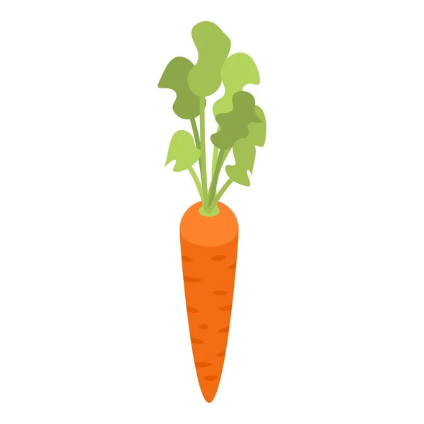 Ícone de cenoura de mercado, estilo isométrico — Vetor de Stock