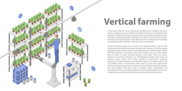 Vertical farming concept banner, isometric style — Stockový vektor