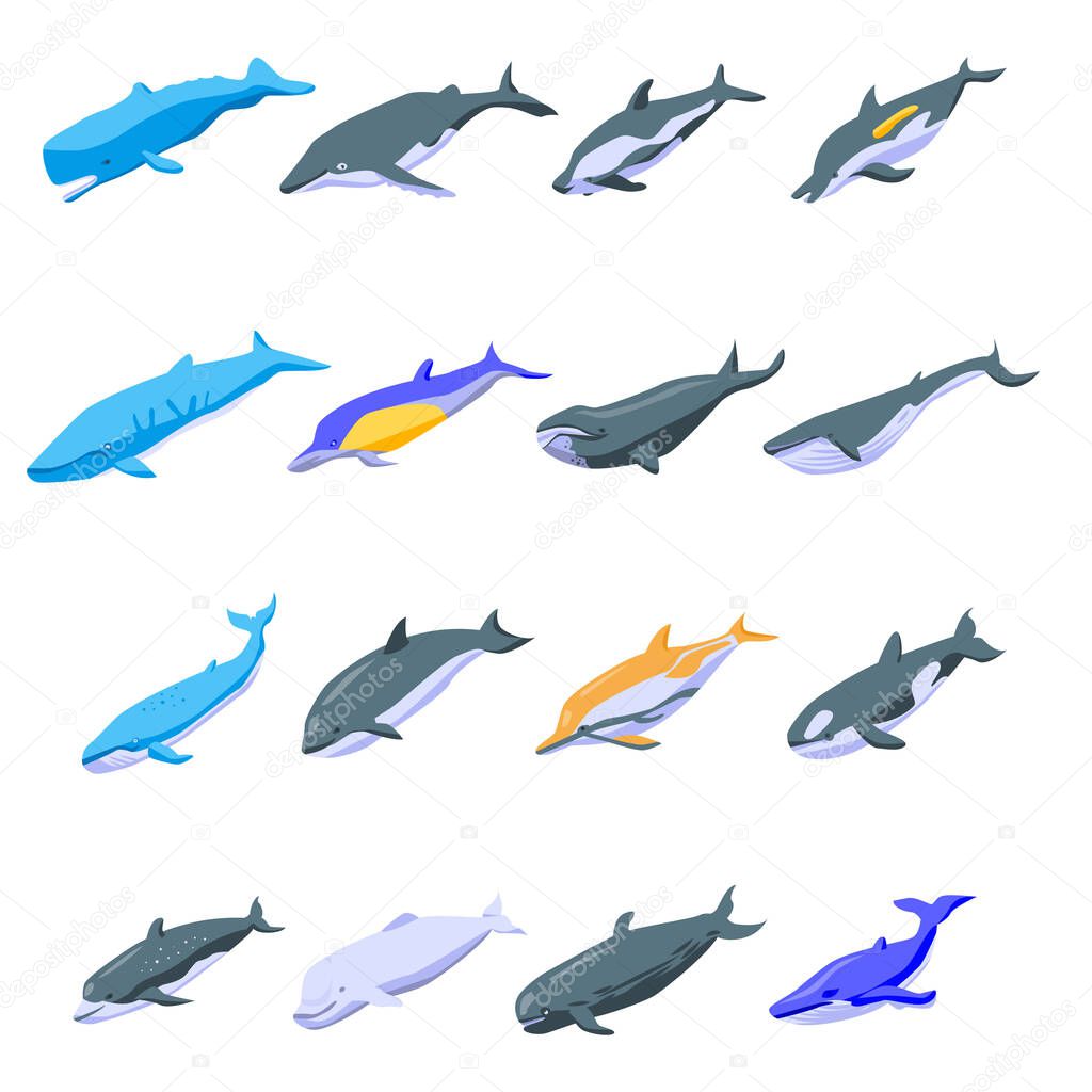 Whale icons set, isometric style