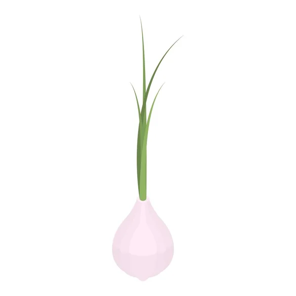 Garden garlic icon, isometric style — Stok Vektör