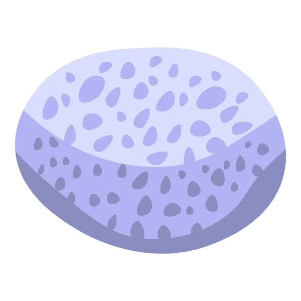 Icono de piedra de coral, estilo isométrico — Vector de stock