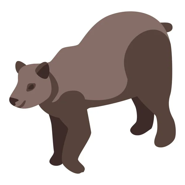 Circus bear icon, isometric style — Stock Vector