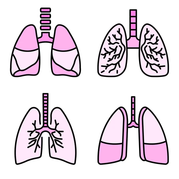 Akciğer simgesi çizgisi renk vektörü