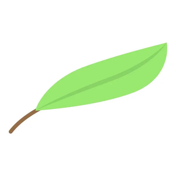Ikone des Olivenblattes, isometrischer Stil — Stockvektor