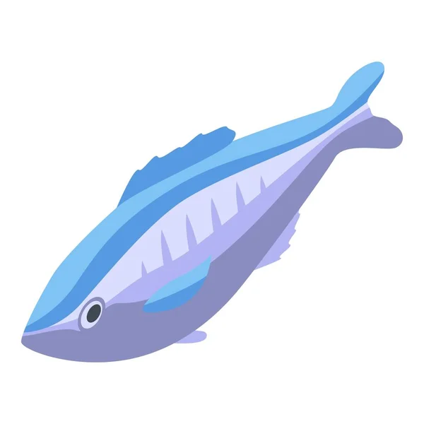 Sea pirate fish icon, isometric style — Stock Vector