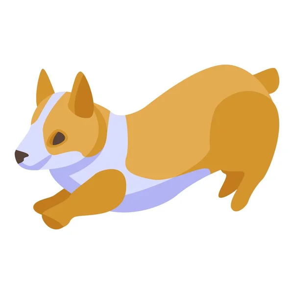 Jogando corgi cão ícone, estilo isométrico — Vetor de Stock