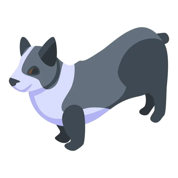 Negro blanco corgi perro icono, estilo isométrico — Vector de stock