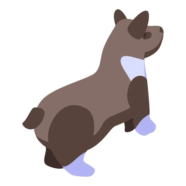 ブラウンコーギーの犬のアイコン、アイソメトリックスタイル — ストックベクタ