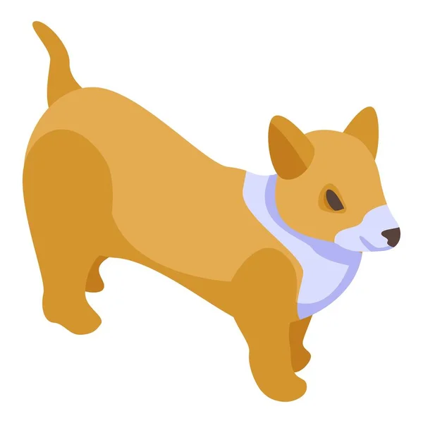 Ícone engraçado cão corgi, estilo isométrico — Vetor de Stock