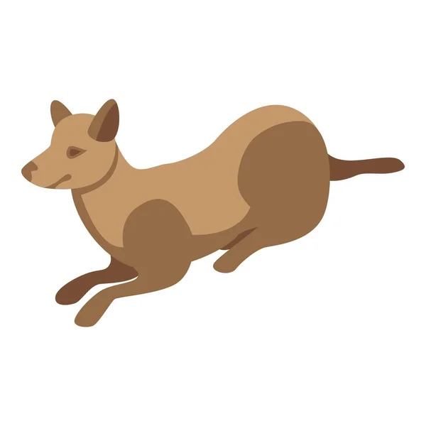 Icono de entrenamiento de agilidad para perros, estilo isométrico — Archivo Imágenes Vectoriales