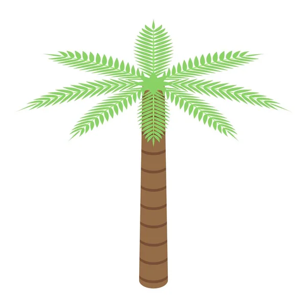 Mısır palmiye ağacı simgesi, izometrik stil — Stok Vektör