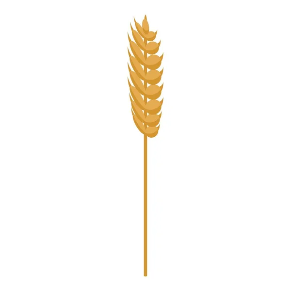 Wheat plant icon, isometric style — Stock Vector