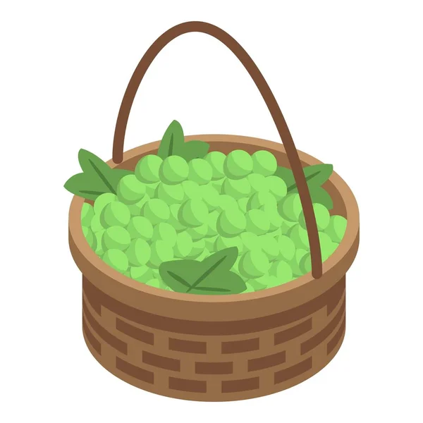 Ícone de cesta de uvas verdes, estilo isométrico — Vetor de Stock