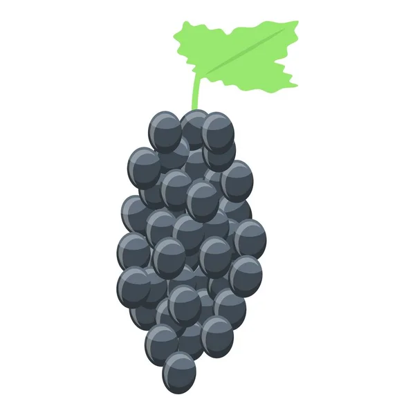 Black wine grapes icon, isometric style — Stock Vector