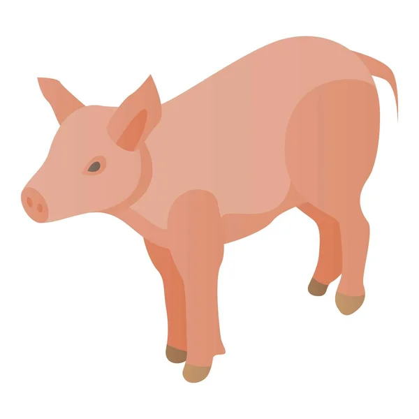 Ikonen för grisar, isometrisk stil — Stock vektor