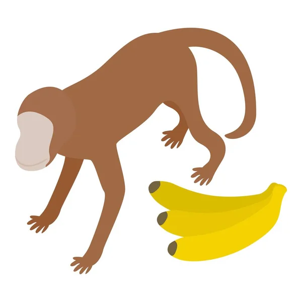 Icono del mono icono, estilo isométrico — Vector de stock