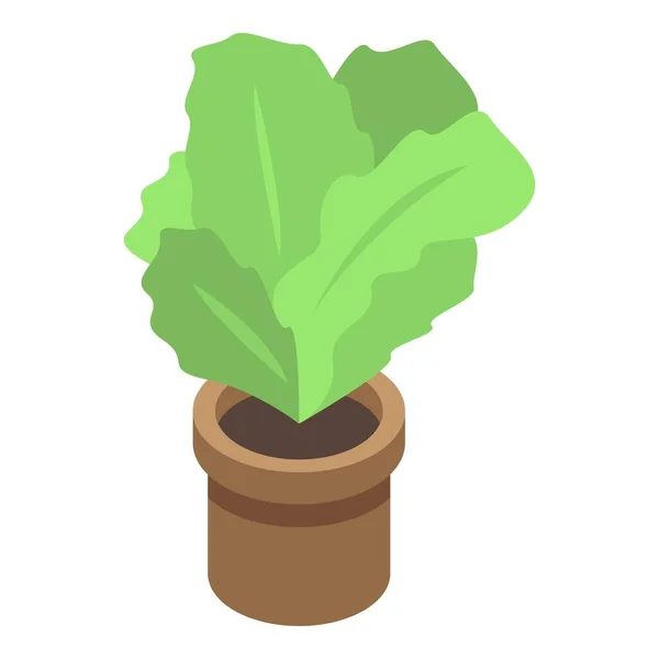 Irodai növénycserép ikon, izometrikus stílus — Stock Vector