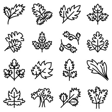 Maydanoz simgeleri seti, özet biçimi