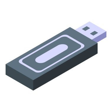 Kişisel bilgi usb flash simgesi, izometrik biçim