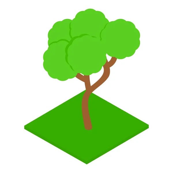 Icône arbre d'été, style isométrique — Image vectorielle