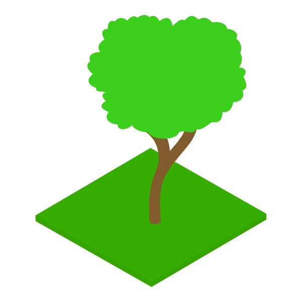 Ícone de árvore de noz, estilo isométrico — Vetor de Stock