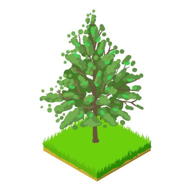 Magnolia acuminata simgesi, izometrik biçim