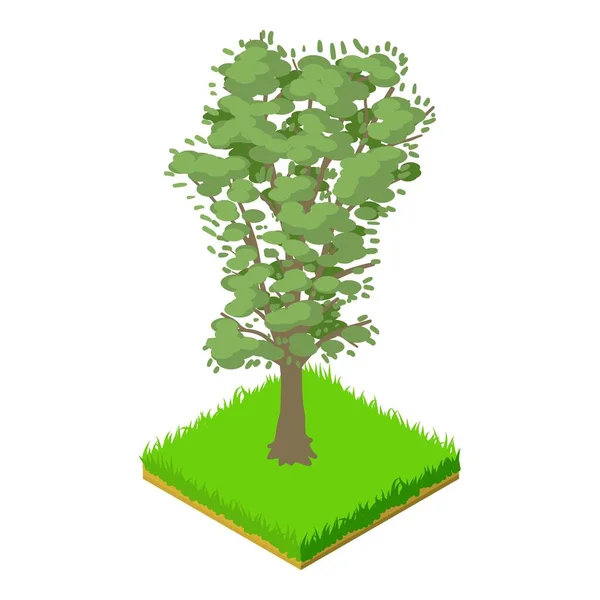 Valnöt träd ikon, isometrisk stil — Stock vektor