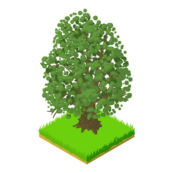 カエデの木のアイコン、等方式 — ストックベクタ